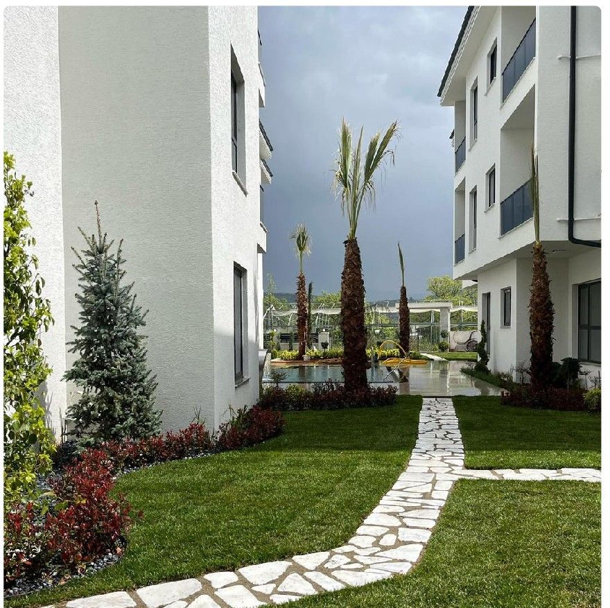 Site bahçesinde palmiyeler ve doğal taş yol