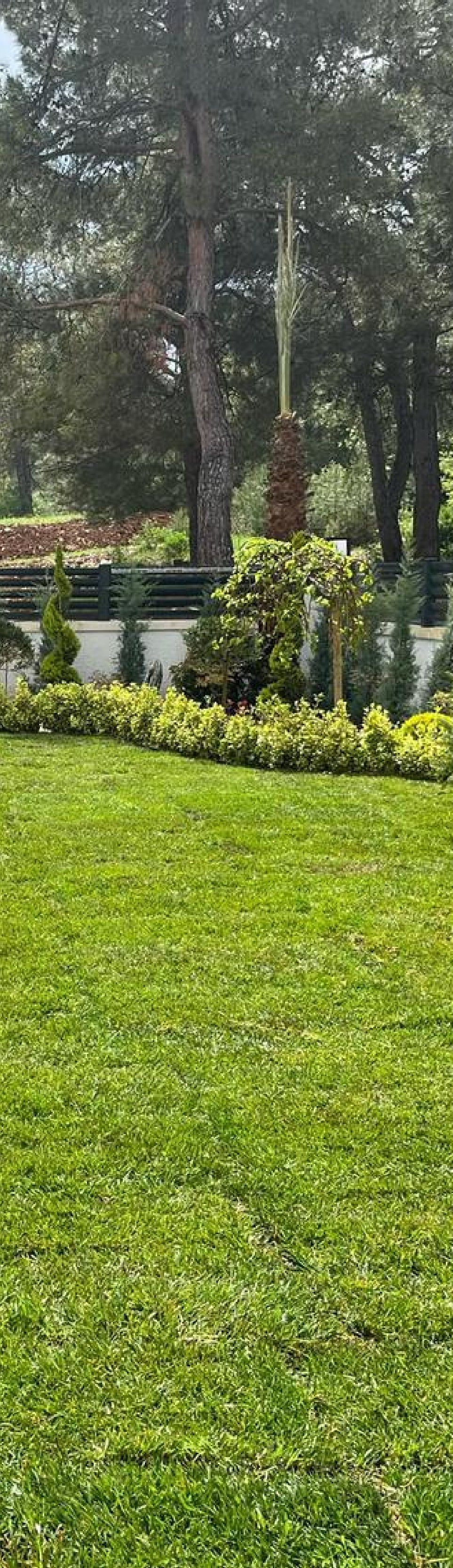 Servi ve ibreli türlerle sınır bitkilendirmesi yapılmış bahçe