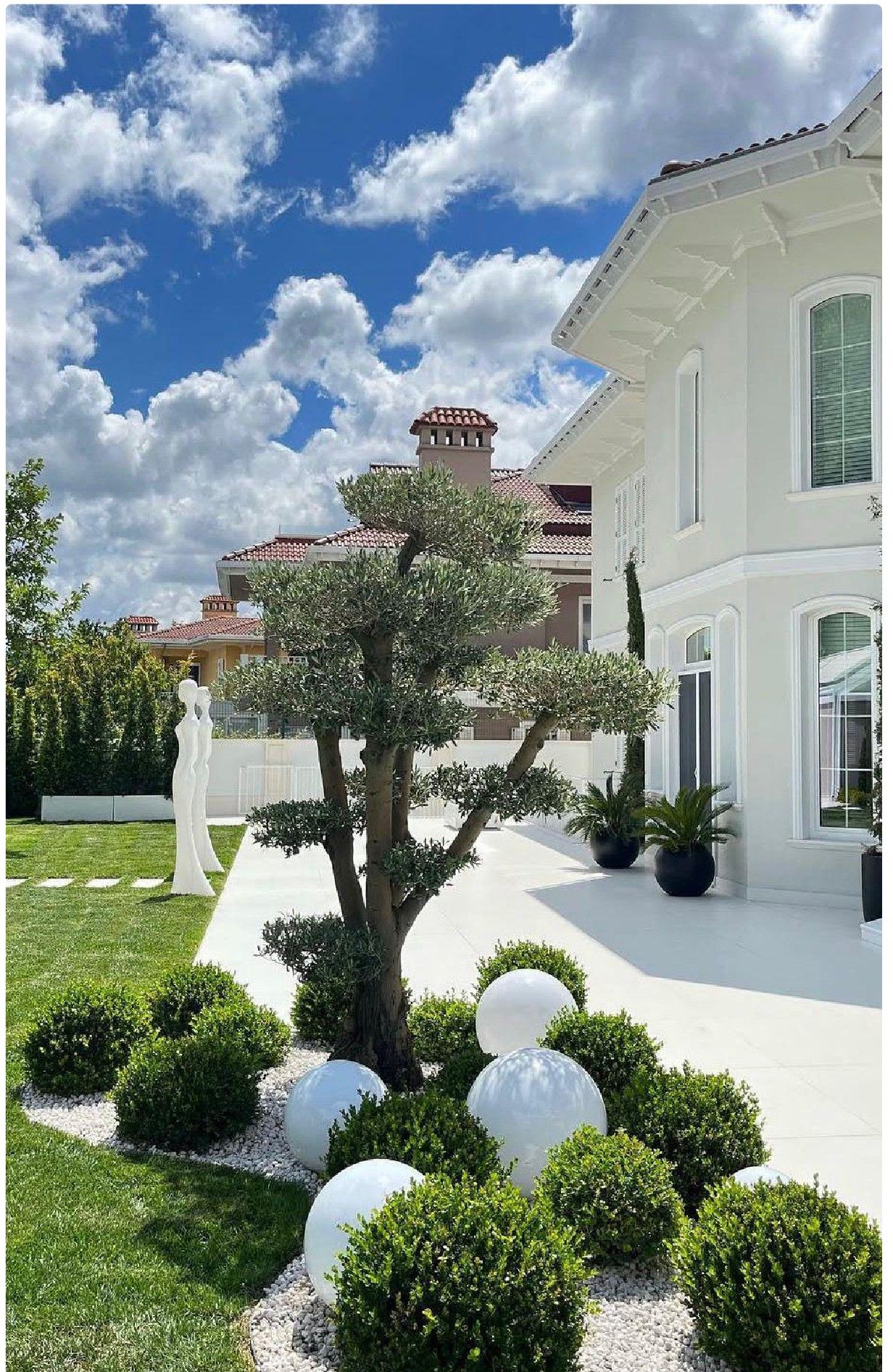 Formlu zeytin ve top şimşirlerle villa bahçesi peyzajı